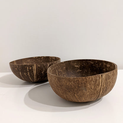 Coconut Shell Bowl